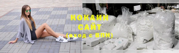 гашик Алзамай