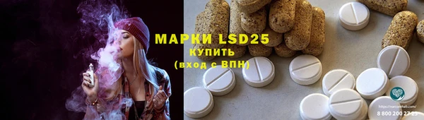 ПСИЛОЦИБИНОВЫЕ ГРИБЫ Алексин